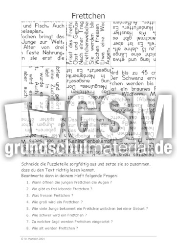 Frettchen.pdf